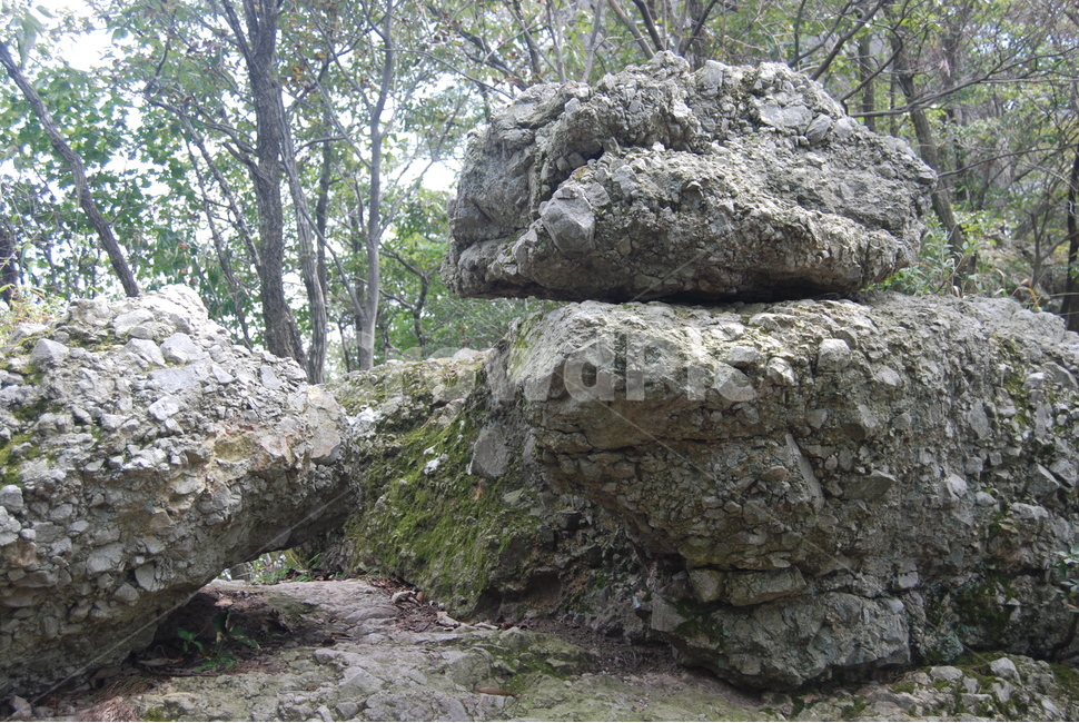 불갑산,영광군,돌,자연,100대명산,자연,풍경,nature,landscape,rock,록