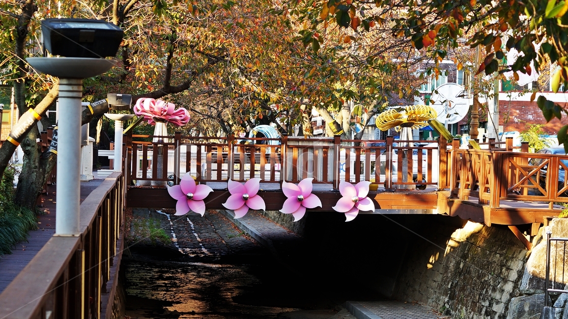 가을,가을풍경,여좌천,단풍,풍경,가을,계절,fall,autumn,season