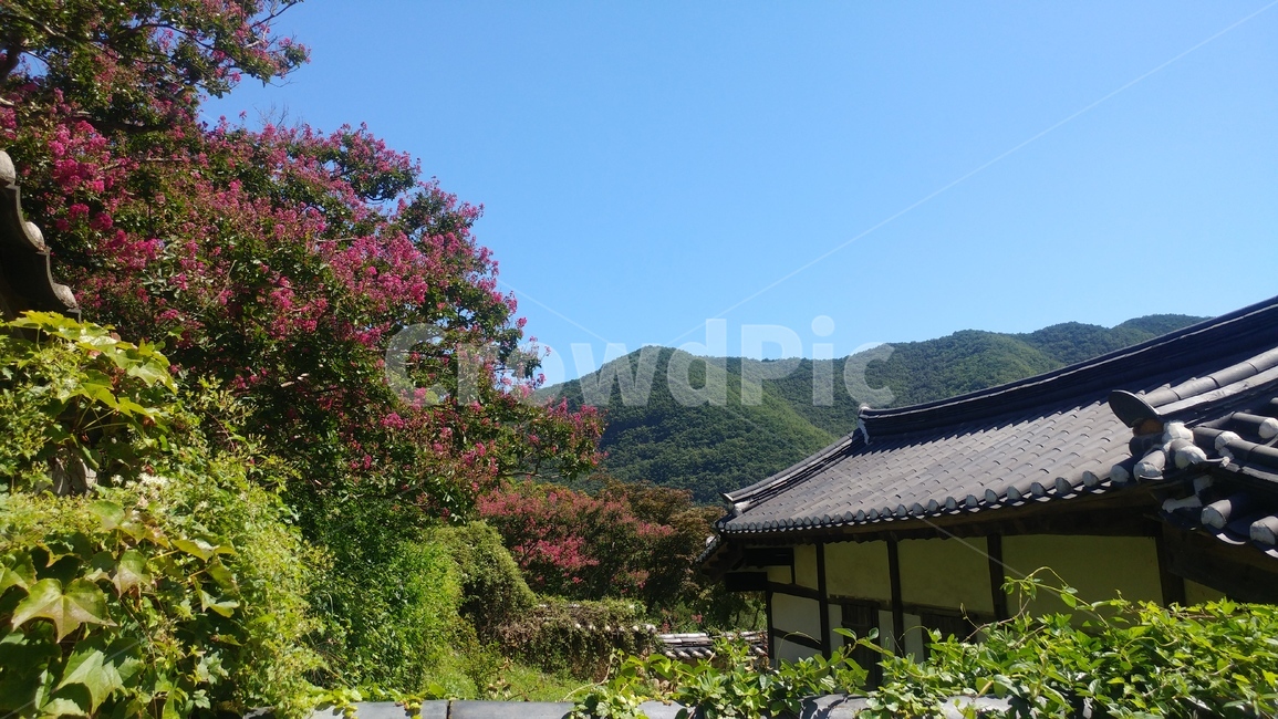 기와,안동,풍경,한국적,자연,하늘,산,나무,서원,자연,풍경,nature,landscape,한국자연풍경,한국자연경관,korea nature landscape,한국전통,한국문화,korean traditional,korean culture,outdoors,옥외