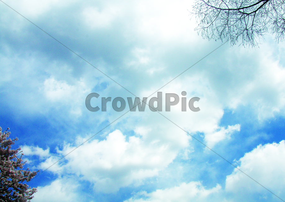 하늘,구름,봄,솜사탕,풍경,날씨,자연,풍경,nature,landscape,outdoors,옥외,azure sky,푸른 하늘,sky