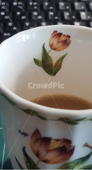 컵,커피,커피잔,꽃,튤립,tulip