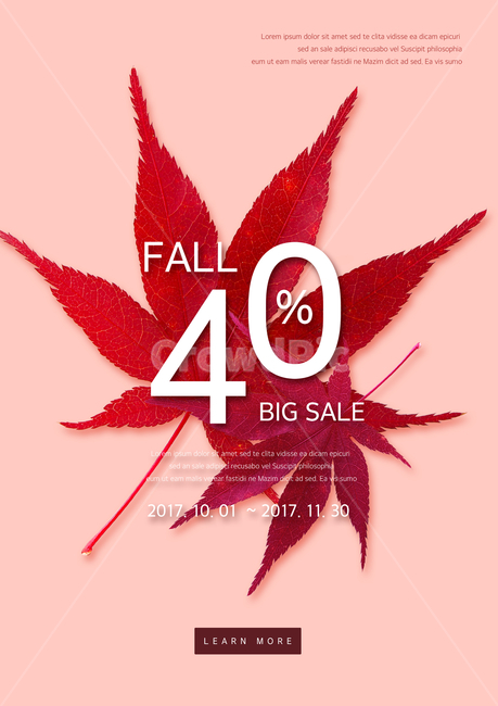 단풍,단풍잎,가을,이벤트,쇼핑,팝업,가을,계절,fall,autumn,season,축제,행사,festival,carnival,event,쇼핑,shopping,그래픽,일러스트레이션,graphic,illustration,plant,식물,leaf,잎,maple leaf