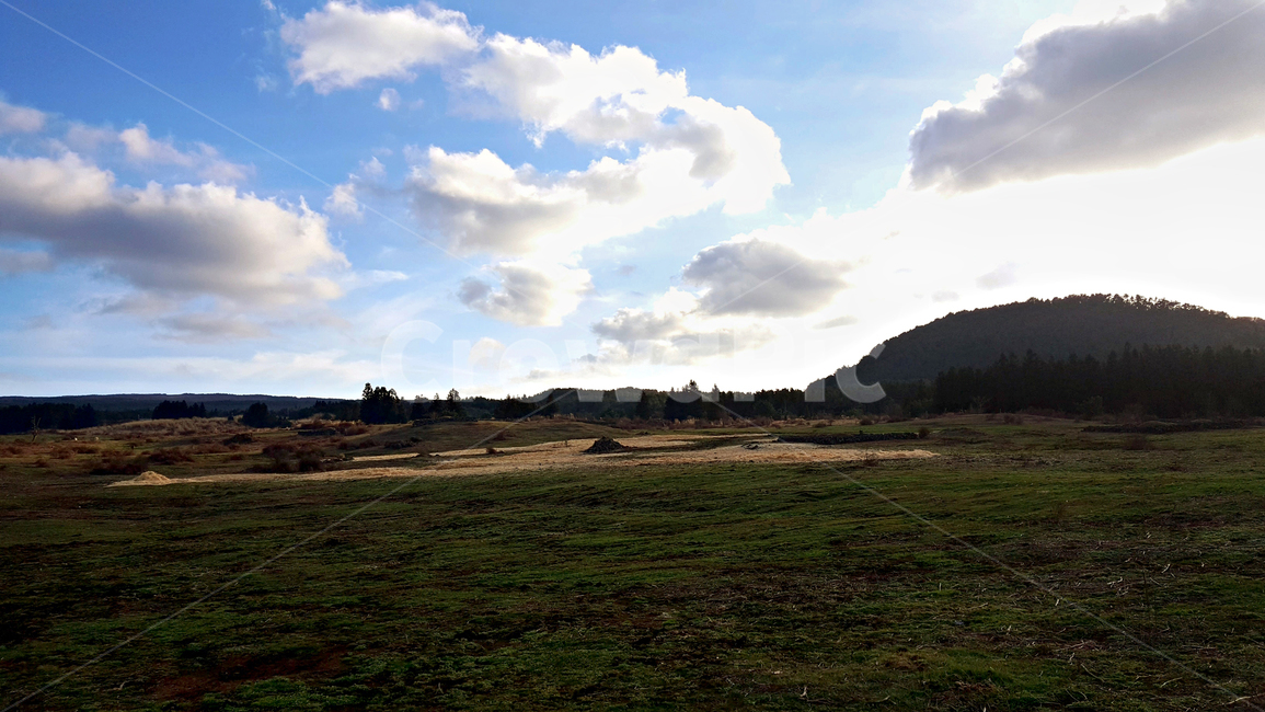 nature,자연,weather,날씨,outdoors,옥외,cloud,구름,sky,하늘,cumulus,적운,field,들