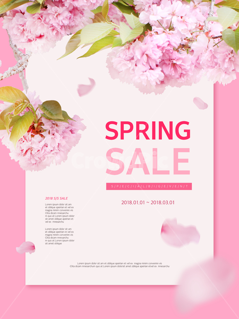 벚꽃,꽃,꽃잎,봄,프레임,이벤트,쇼핑,봄,계절,spring,season,축제,행사,festival,carnival,event,쇼핑,shopping,그래픽,일러스트레이션,graphic,illustration