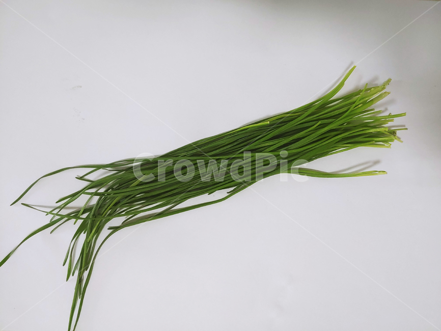 부추,food,plant,음식,채소,식물