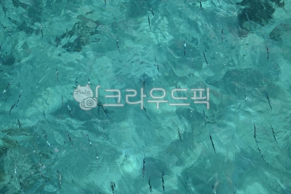 Guam,Tumon Beach,Beach,Clear Beach,Sea,Nature,Summer,Nature,Sea,Guam,Tumon,Tumon Beach,Beach,Horizon,Emerald,Fish,Mackerel,Mackerel,Fish,Fish,Crane Butts,Saury