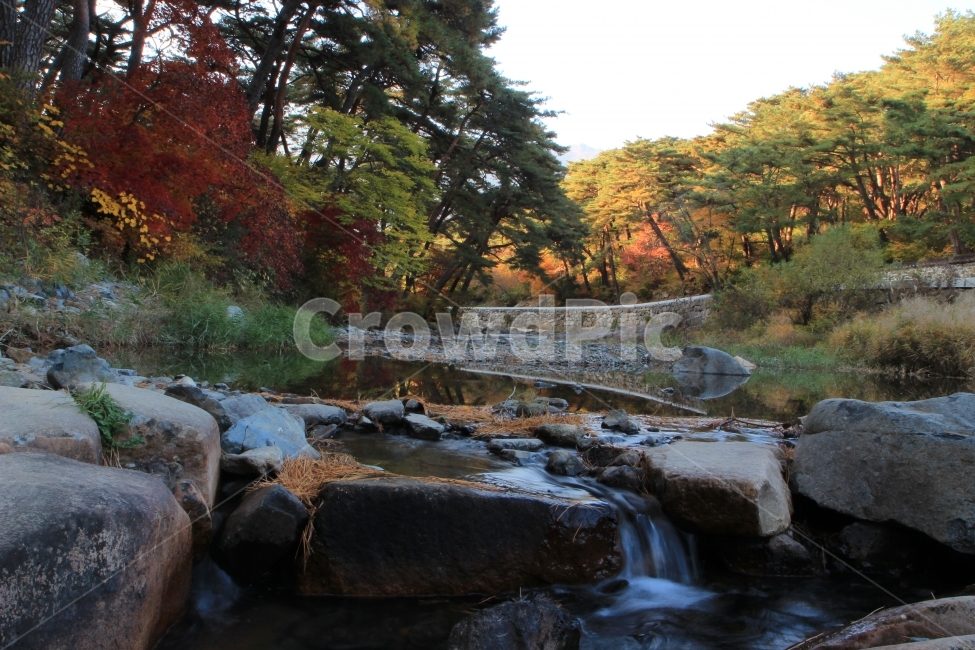 불국사,가을,물줄기,단풍,추억,가을,계절,fall,autumn,season,자연,풍경,nature,landscape,한국자연풍경,한국자연경관,korea nature landscape,water,물,outdoors,옥외,river,강