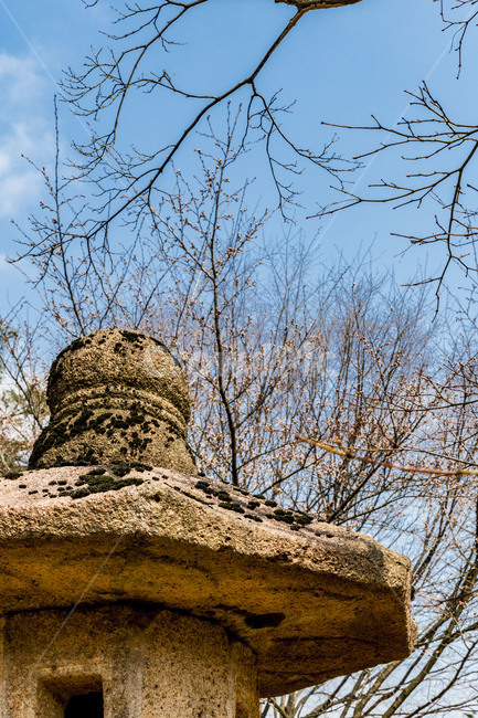 봄,석탑,석등,감성,석공예,돌이끼,이끼,한국전통,한국문화,korean traditional,korean culture