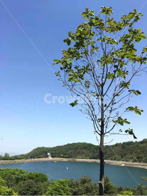 호명호수,호명산,가평,호수,인공호수,자연,lake,자연,풍경,nature,landscape,land,땅,outdoors,옥외,water,물,sea,바다,ocean,대양,shoreline,해안선