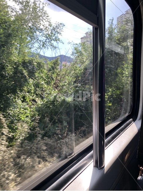 창밖,풍경,나무,창밖풍경,tour,train,tree,scenery,nature,자연