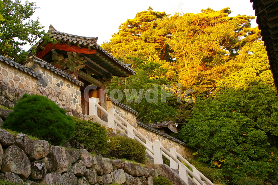경주,풍경,자연,야외,옥외,가을,architecture,건축물,building,건물,한국전통,한국문화,korean traditional,korean culture