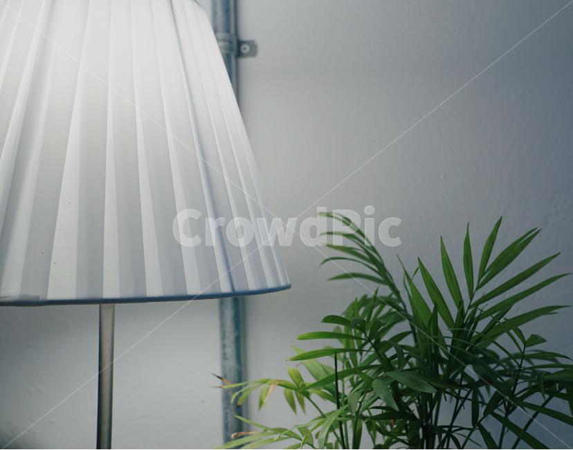 전등,식물,감성,감성사진,빛,인테리어,인테리어,실내디자인,interior design