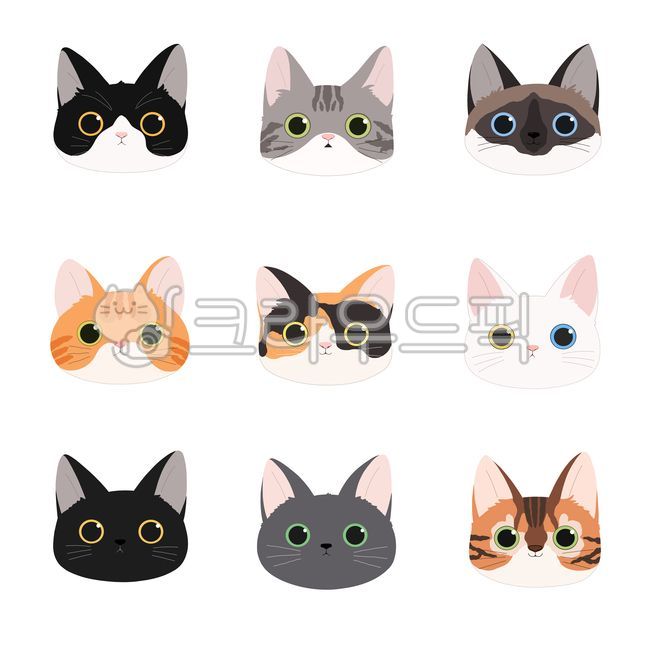 고양이일러스트,고양이아이콘,고양이,아이콘,귀여운,얼굴,다양한,반려동물,세트,동물아이콘,동물,애완동물,cat,프로필,삼색이,깜고,반려묘,샴,뱅갈,치즈,턱시도,러시안블루,일러스트