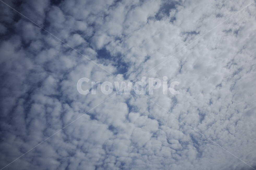 nature,자연,하늘,sky,구름,cloud,cloudysky,blue,파란하늘,푸른하늘,적운,구름낀하늘,자연,풍경,nature,landscape
