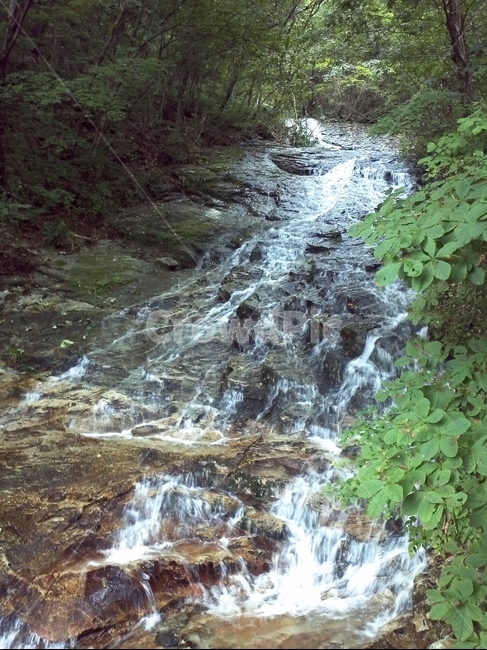 폭포,falls,summer,water,stream,물,계곡,자연,nature,나무,stone,자연,풍경,nature,landscape,outdoors,옥외,흐름,creek,작은 만
