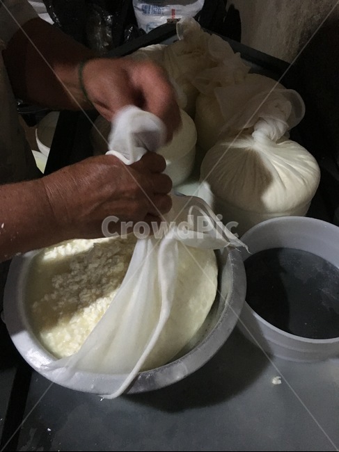 브라질,미나스제라스,전통,치즈,만드는과정,응유,우유,응고,응결,홈메이드,핸드메이드,손,남미,라틴,아메리카,음식,brazil,minasgerais,traditional,cheese,making,process,curd,curdling,milk,home,hand,made,latin,southamerica,food