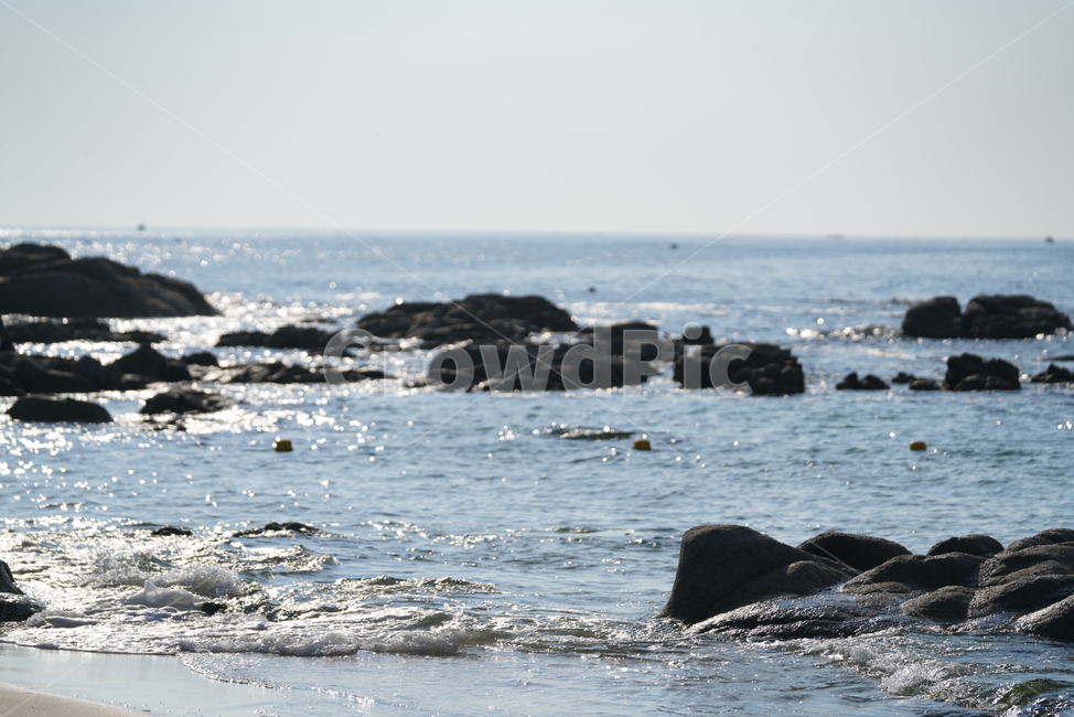 바다,바닷가,해변,바위,파도,경치,풍경,자연,물,sea,여름
