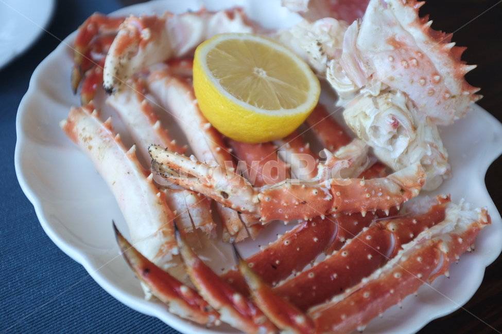 food,음식,seafood,해물,킹크랩