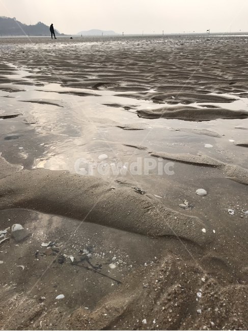 바다,모래,갯벌,서해,자연,흙,물,nature,sea,풍경