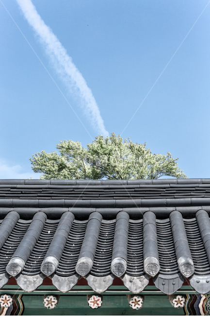 한옥마을,고택,문화유산,기와,하늘,선,한국전통,한국문화,korean traditional,korean culture,건축물,건물외관,exterior,building,structure,architecture,construction