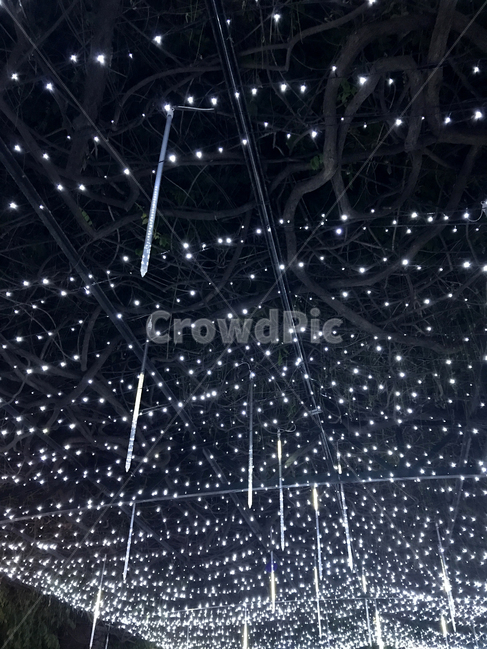 전구,흰색,반짝임,하늘색,회색,야경,밤,풍경,nightscape,night,landscape,lighting,조명