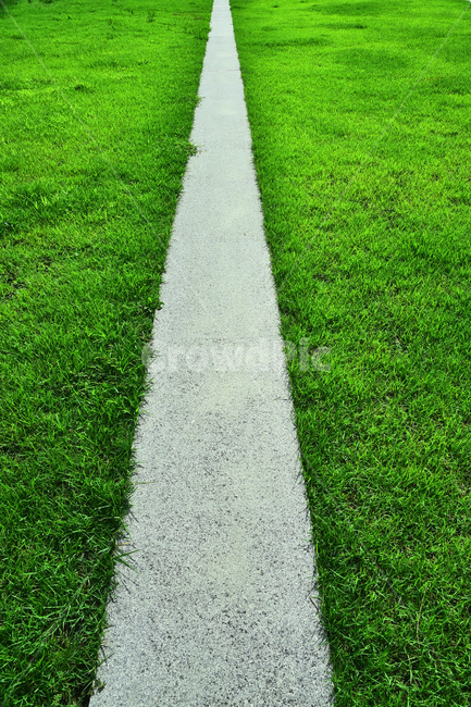 길,로드,컨셉,콘셉,road,start,beginning,background,texture,텍스쳐,질감,풀밭,잔디밭,그린,끝없는,시작,출발,concept