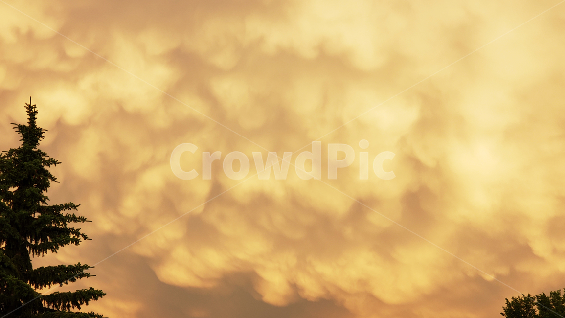 자연,구름,옥외,노을,황금빛,캐나다,nature,sky,cloud,canada,golden,하늘