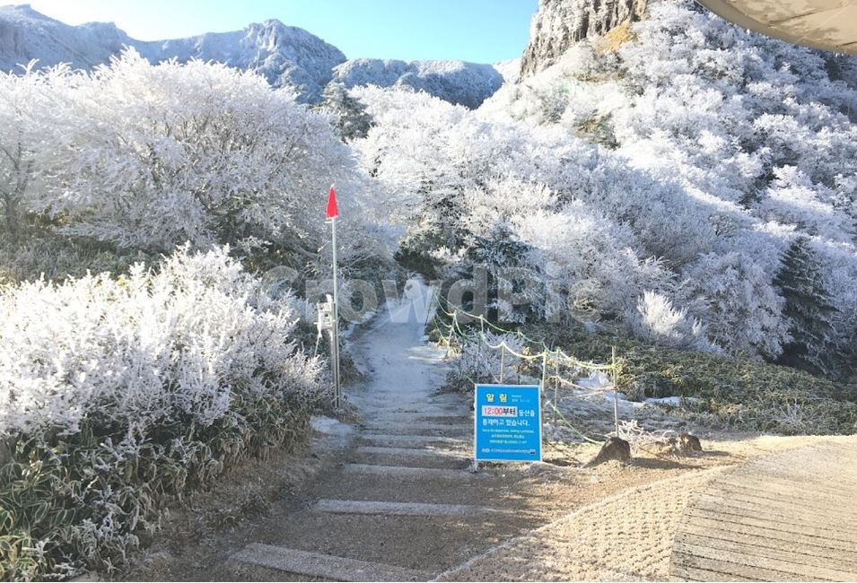 자연,산길,눈,통제,겨울산
