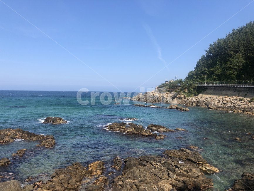 곶,자연,물,바다,대양,옥외,삼척,동해,자연,풍경,nature,landscape,promontory,outdoors,water,ocean,sea