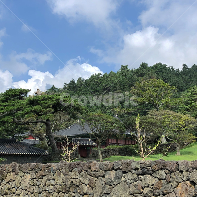 향교,제주도,대정향교,자연,돌담