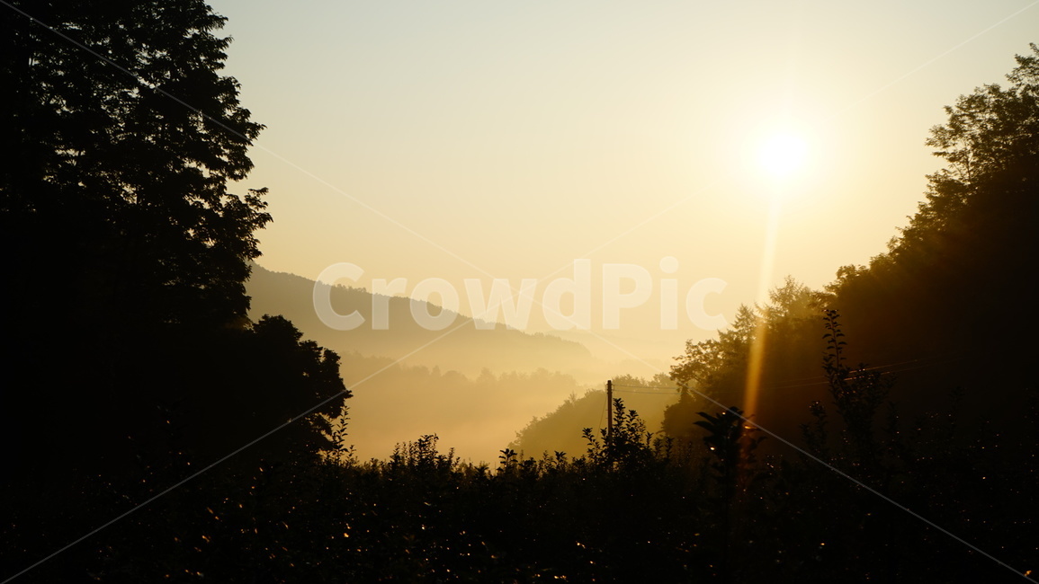 아침,햇살,해돋이,감성,눈부심,자연,풍경,nature,landscape,flare,플레어,light,빛,sunlight,햇빛