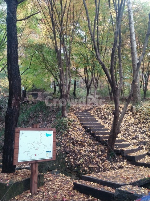 산핵로,자연,나무,가을,단풍
