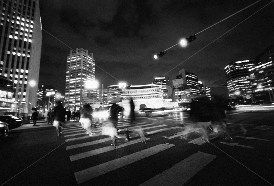 남대문,숭례문,횡단보도,도시,퇴근길,신호등,사람들,대중,군중,other people,crowd,흑백,모노톤,monochrome,black and white,교통,교통수단,traffic,transportation