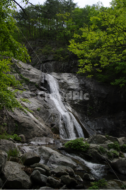 폭포,나무,바위,폭포수,풍경,자연,풍경,nature,landscape,river,강,water,물,outdoors,옥외,waterfall