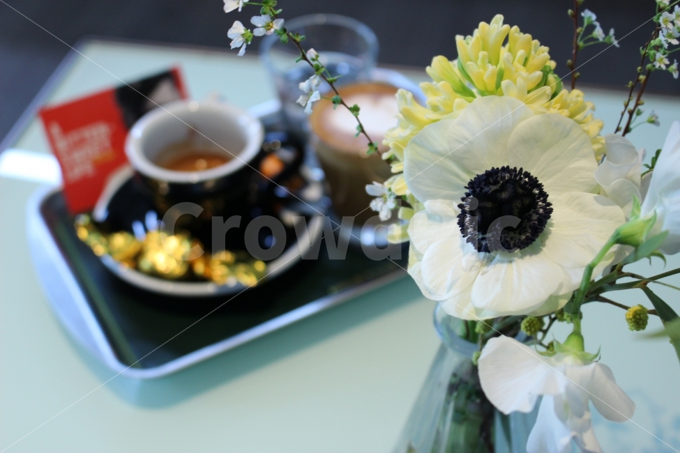 커피,카페,스페셜티,로스터리,인테리어,맛집,coffee,cafe,specialty,roastery,꽃,flower,에스프레소,espresso,마끼아또,플래터,세트,식물,자연,plants,nature,커피,카페,coffee,cafe,꽃,flower