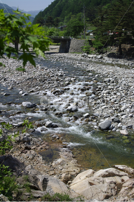 강,강물,풍경,바위,자갈,돌,자연,풍경,nature,landscape,water,물,dirt road,흙길,gravel,road,도로,rubble,파편,outdoors,옥외