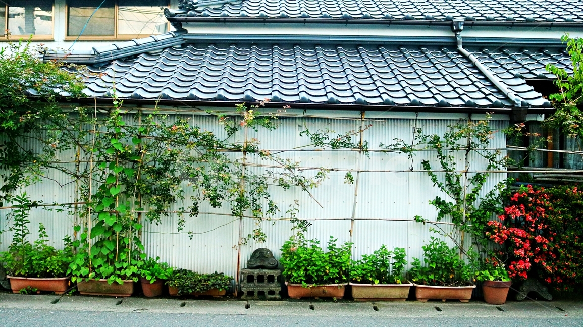 일본,유후인,시골,담장,정원,건축물,건물외관,exterior,building,structure,architecture,construction