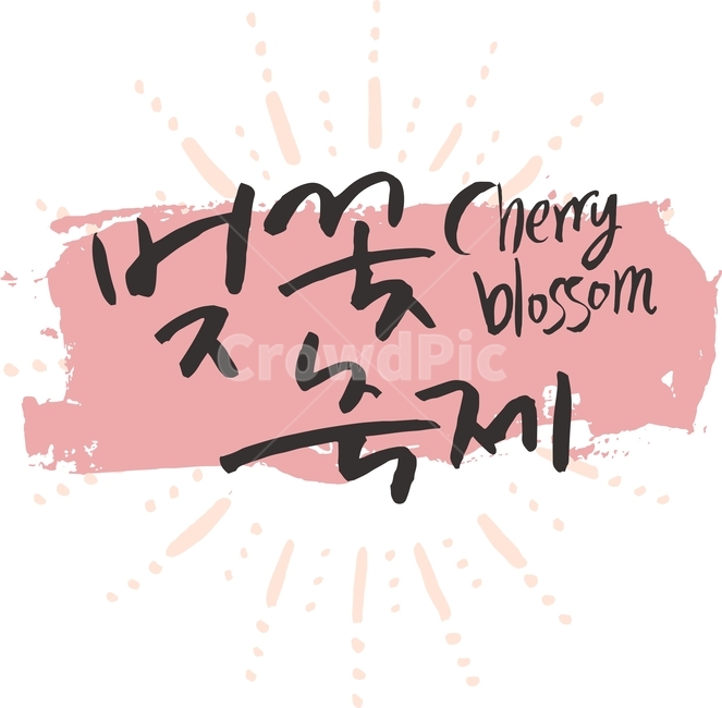 벚꽃놀이,벚꽃축제,일러스트,벡터,봄,캘리그라피,패턴,패키지,라인,텍스처,질감,다이어리,책표지,북커버,팝업,배너,계절,벚꽃,축제,꽃,캘리,번짐,잉크,캘리그라피,손글씨,calligraphy