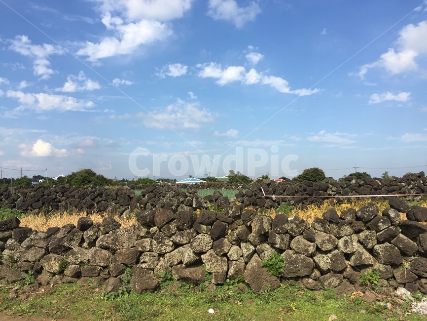wall,벽,돌담길,제주,자연,nature