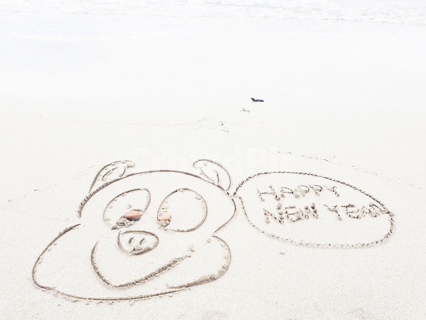 새해인사,happynewyear,해변낙서,2019년새해인사,돼지의해,기해년인사,2019년인사,바닷가낙서,돼지,모래글씨,해변글씨,해변,바다,beach,sea