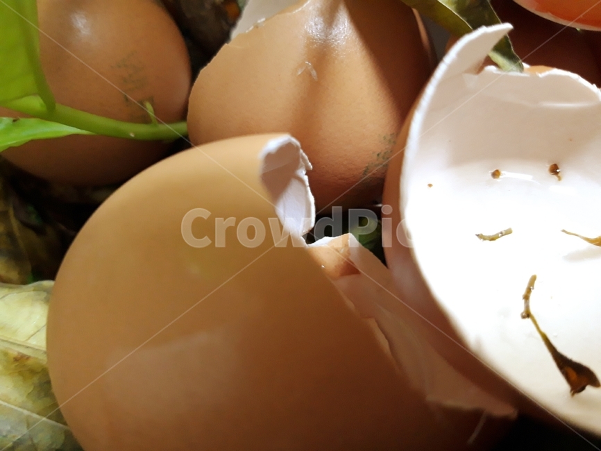 계란,껍질,계란껍질,달걀,달걀껍질,조각,음식,식재료,요리,food,cook,meal,piece,ingredient