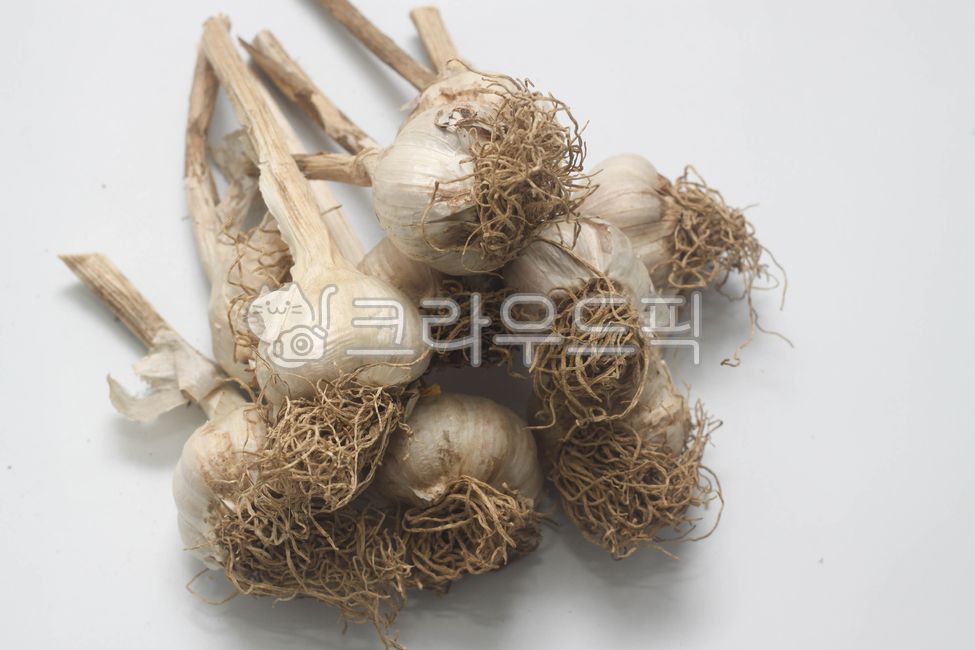 마늘,건강식품,식재료,항암효과,재료