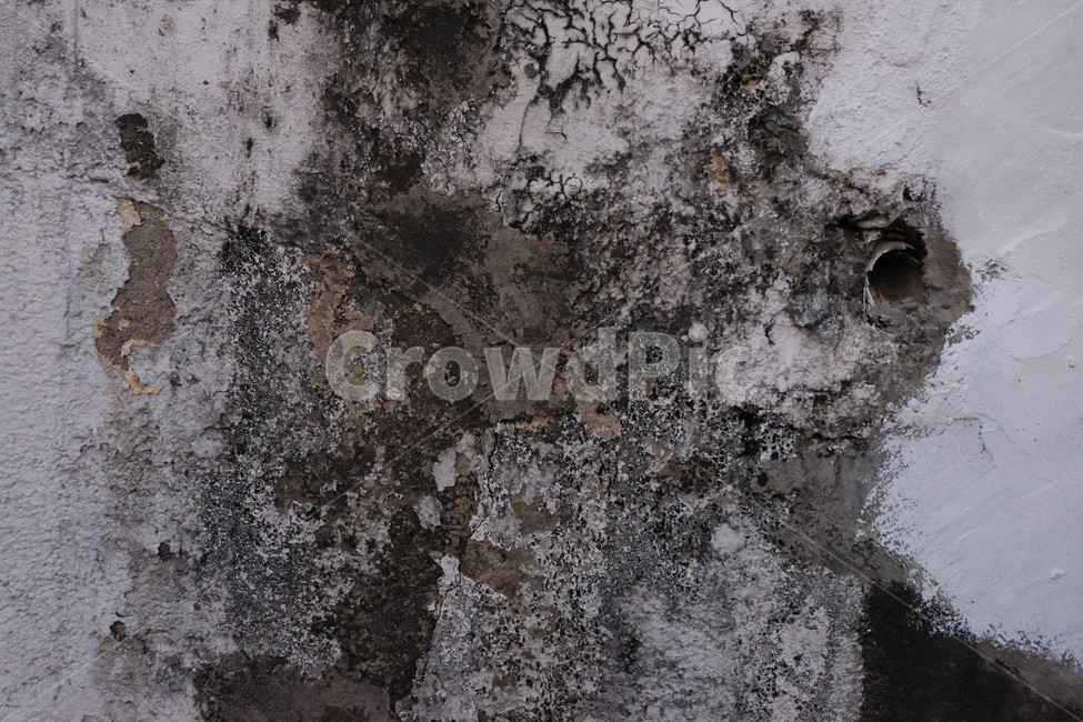 concrete,concrete wall,cement,cement wall,pattern,mold,stain