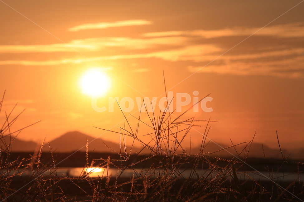 부산,다대포,노을,낙조,플레어,해질녁,매직아워,자연,풍경,nature,landscape,한국자연풍경,한국자연경관,korea nature landscape,plant,식물,grass,잔디,sunlight,햇빛,outdoors,옥외