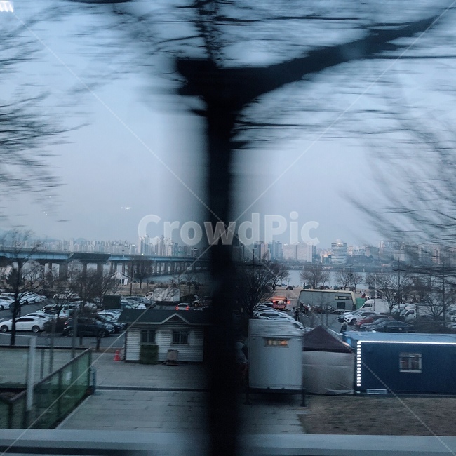 분위기,시원함,감성,나무,겨울,가을