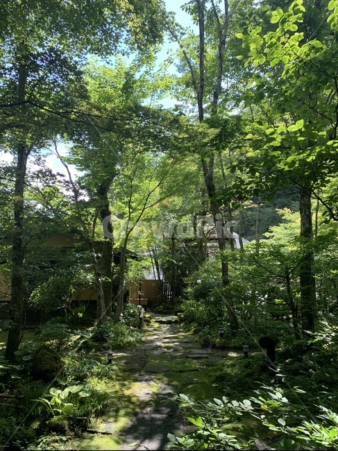 시골,휴양지,숲,자연,힐링,정원,식물,garden,정자,자연,풍경,nature,landscape