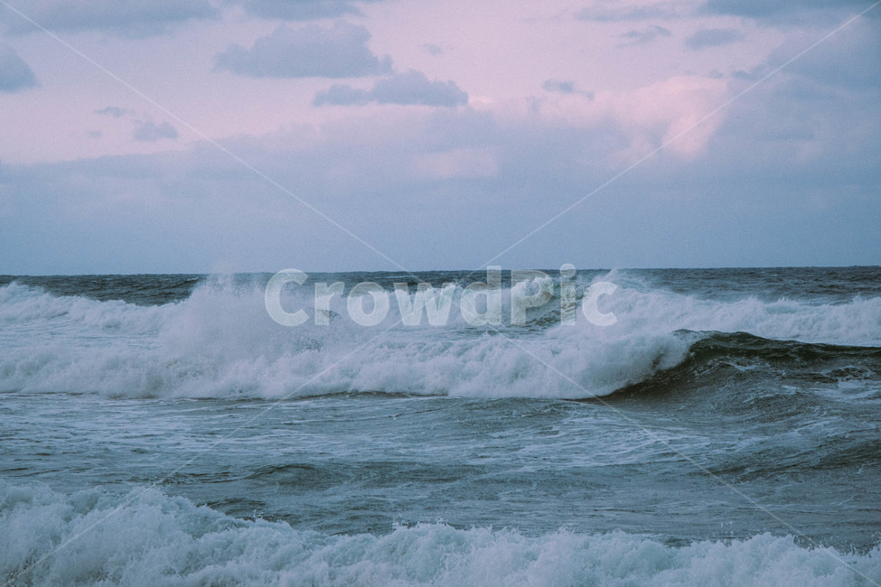 tide,nature,water,winter sea,sea,East Sea,ocean,sunset,Seagull