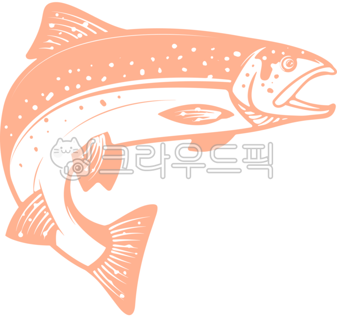 무지개송어,송어,송어이미지,송어그림,민물송어,야생송어,연어과,야생무지개송어