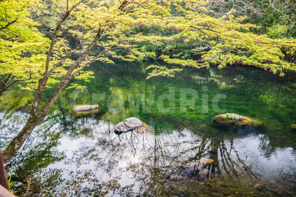 산,계곡,풍경,봄,물,자연,풍경,nature,landscape,water,outdoors,옥외,land,땅
