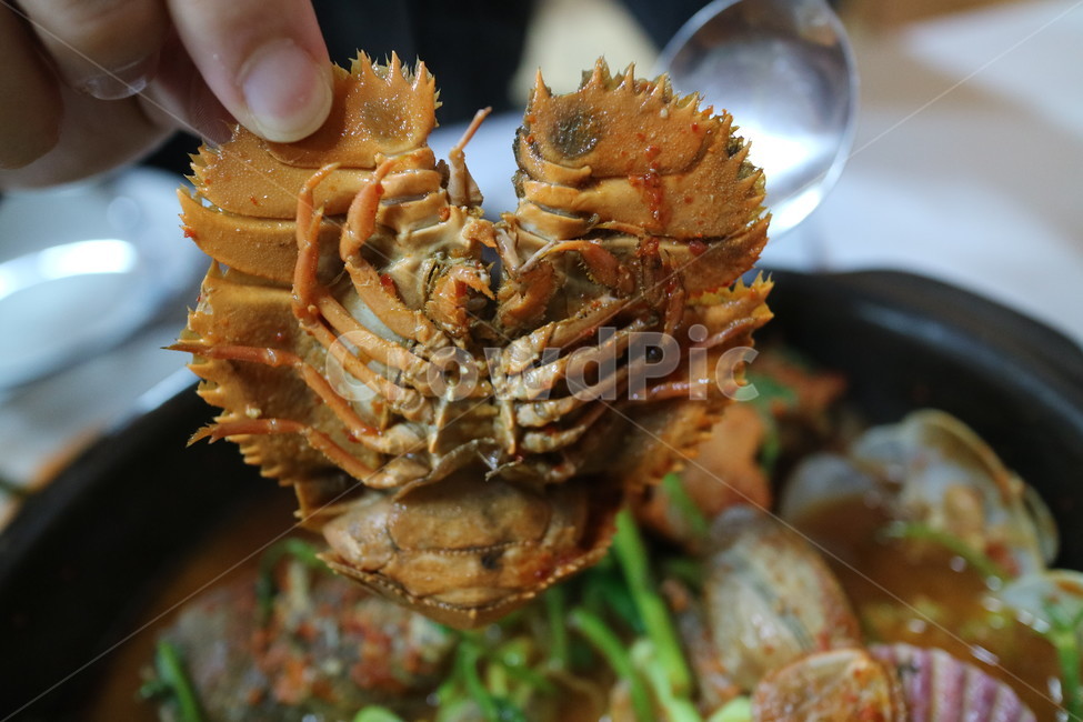 가재새우,새우,해산물,해물뚝배기,게,음식,식재료,요리,food,cook,meal,dishes,food reserves,수산물,해산물,fishery products,seafood,한식,한국음식,한국요리,korean food,korean dishes,korean meal,korean cook